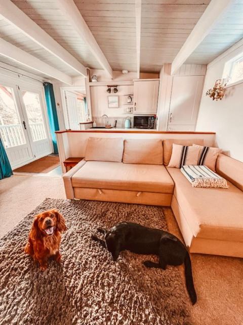 Villa Blankednick Boltholes - 3 Beautiful Family Or Couples Cornish Getaways à Truro Extérieur photo